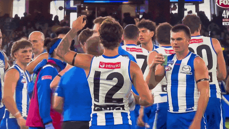 Alastair Clarkson confronts Colby McKercher during the Good Friday clash with Carlton.