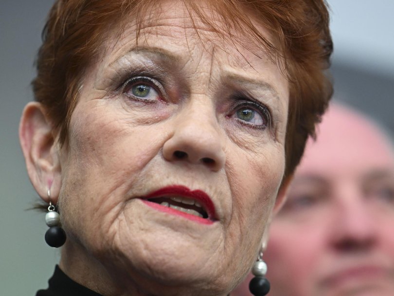 Pauline Hanson has led the One Nation Party since being disendorsed by the Liberals in the late 1990s. Picture: NewsWire / Martin Ollman.