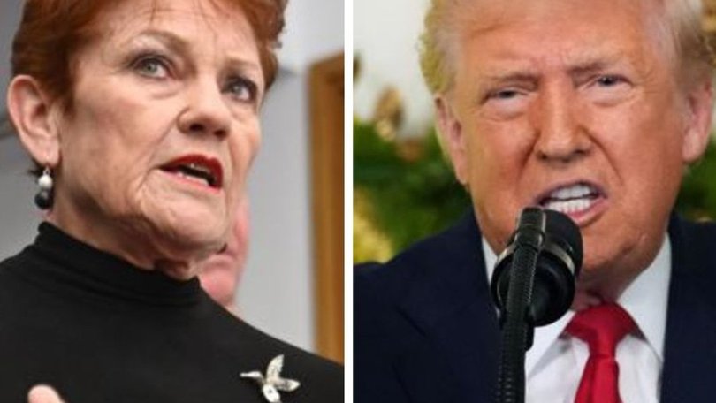 Pauline Hanson has previously described Donald Trump as ‘patriotic leader who has the best interests of his people at heart’.