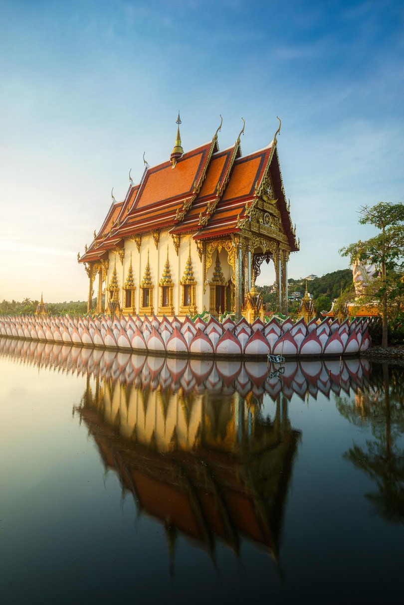 Daniel MacPherson undertook intensive Muay Thai training in Koh Samui while preparing for his role in Beast.