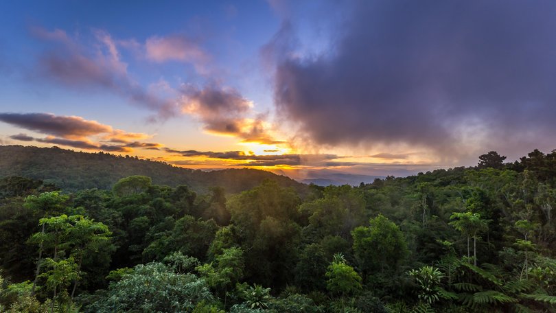 Sunset above Rainforest of Lamington National Park, Queensland, Australia. Getty Images