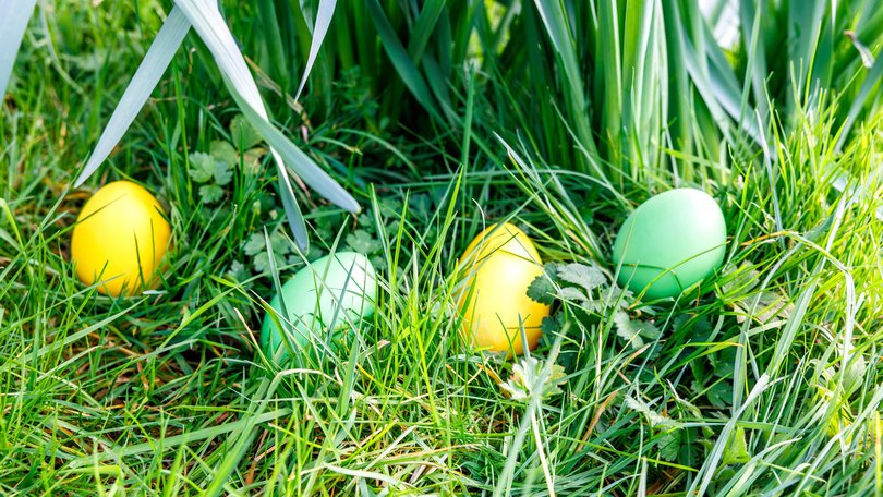 An Easter egg hunt resulted in the deaths of three people in Germany.