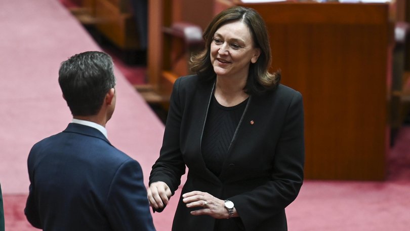 Liberal senator Maria Kovacic says fraudsters are the biggest problem with the NDIS. Picture: NewsWire / Martin Ollman