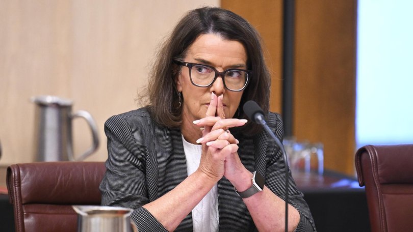 Opposition health spokeswoman Anne Ruston says she is open to working with the government. Picture: NewsWire / Martin Ollman