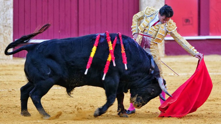 The annual Corrida Picassiana went ahead the day after the tragedy. 