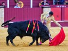 The annual Corrida Picassiana went ahead the day after the tragedy. 