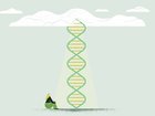 Our lifespans could more genetic than we thought.
