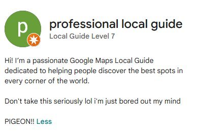 The Google profile ‘professional local guide’ appears to be behind the bizarre spate of pictures
