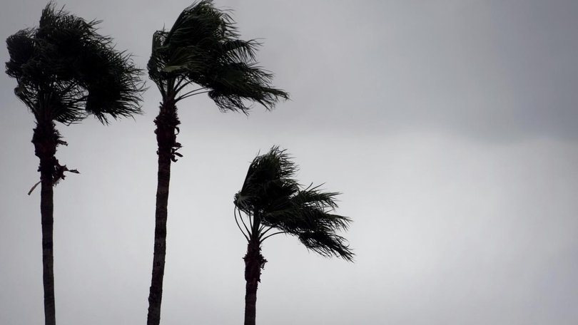 Strong winds and heavy rain from Tropical Cyclone Vaianu have been felt in Fiji.