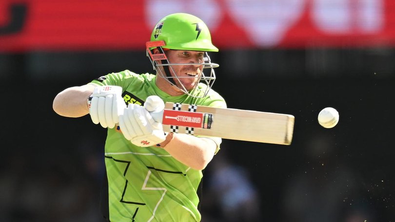 David Warner's hot batting form has earned him BBL team of the season selection, and as skipper. 