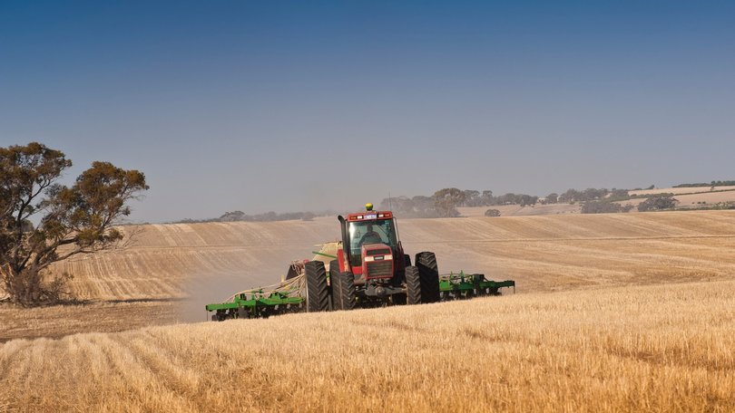 Some farmers are switching to crops that do not need as many nutrients, such as soyabeans.
