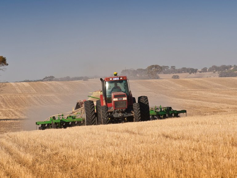 Some farmers are switching to crops that do not need as many nutrients, such as soyabeans.
