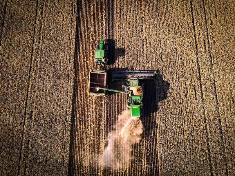 In 2022, when one giant grain exporter (Russia) invaded another (Ukraine), the price of wheat surged by 50 per cent. 