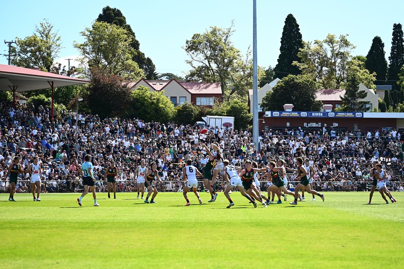 Tasmania Devils and Coburg Lions