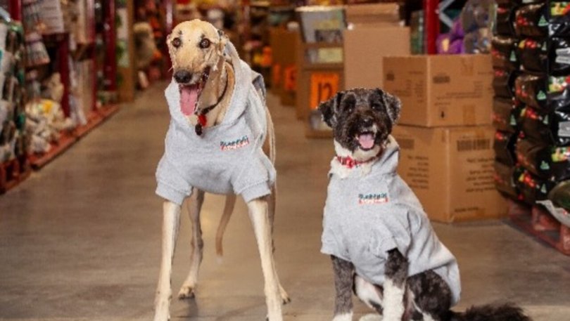 More than 8,300 pets are currently listed for adoption as abandonment rates hit their highest in two decades. Picture: Bunnings/Supplied