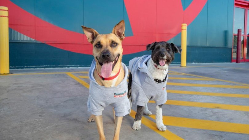 Two dollars from every purchase of a $10 hoodie is donated to PetRescue. Picture: Bunnings/Supplied
