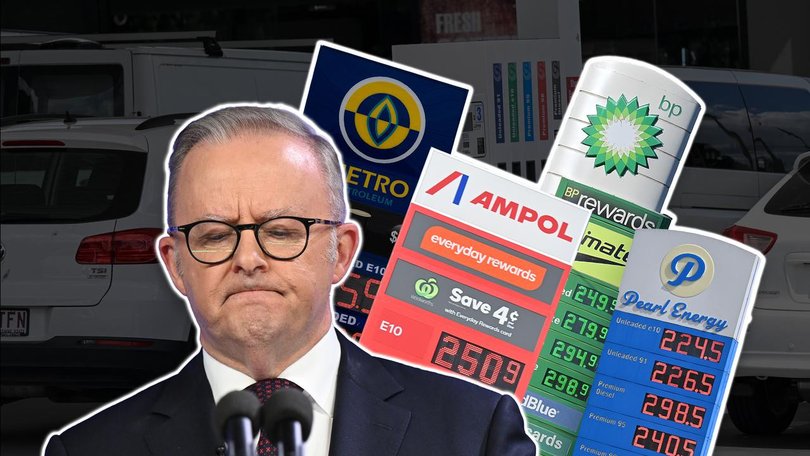 The Albanese government has been warned about the impact fuel excise cuts will have on inflation. 