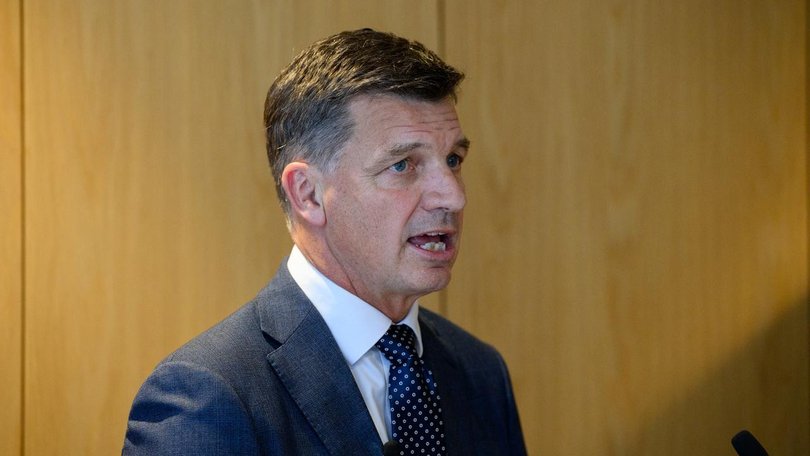 Opposition Leader Angus Taylor has faced criticism over his immigration plans. 