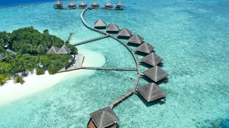 A newlywed husband is fighting for his life after a shark attack in the Maldives (file image). 