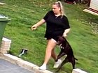 Shocking video footage emerged of the pair abusing dogs while their owners were on holiday.