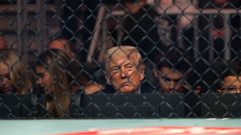 President Donald Trump sits ringside at the UFC 327 fight in Miami.
