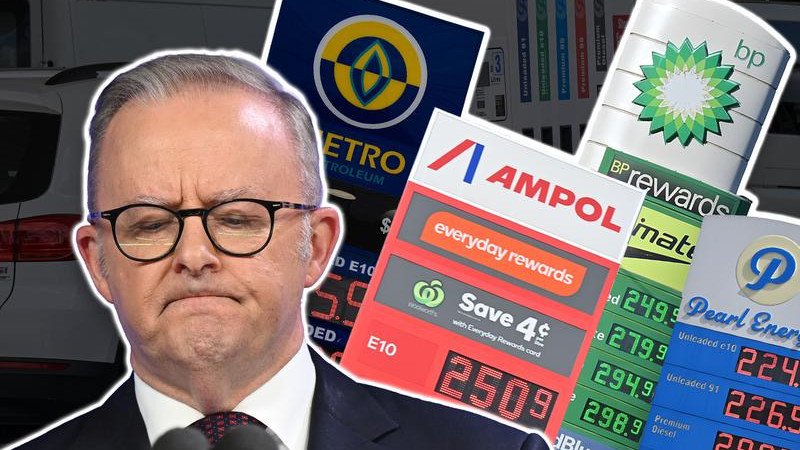 It is vital that the Albanese Government continues to do all it can to lessen the impact of the crisis.