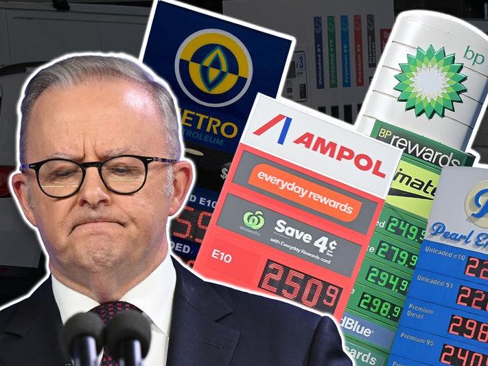 It is vital that the Albanese Government continues to do all it can to lessen the impact of the crisis.