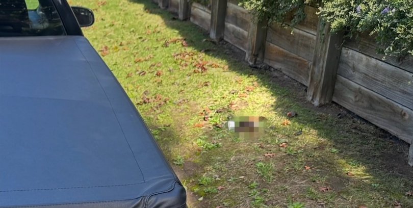 The person also left behind incriminating evidence.