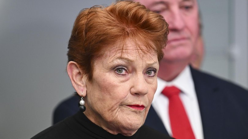 Senator Pauline Hanson’s One Nation has recorded its second poll drop in two months. Picture: NewsWire / Martin Ollman.