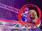 A circus routine has taken a terrifying turn after a performing tiger escaped an on-stage enclosure and sauntered past families in the audience in Russia. 