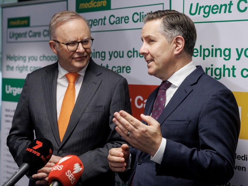 Prime Minister Anthony Albanese with Health minister Mark Butler.