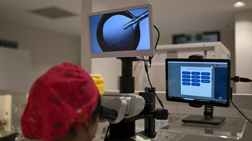 The hormone procedure under scrutiny has been promoted since the early to mid-2010s. (Dean Lewins/AAP PHOTOS)