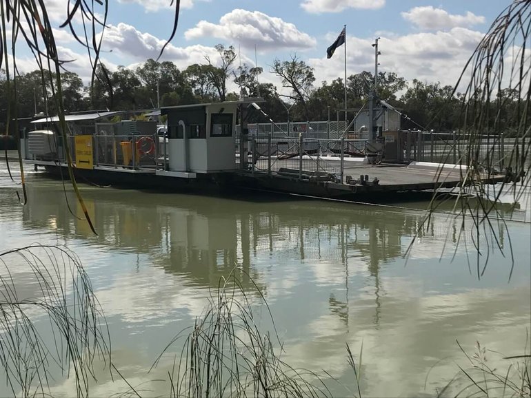 A woman has died after the ute she was travelling in hit the Lyrup ferry gate.