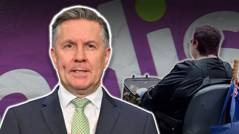 At the National Press Club on Wednesday Health Minister Mark Butler detailed a long-awaited overhaul of the NDIS which will see about 160,000 people lose support from the scheme by 2030.