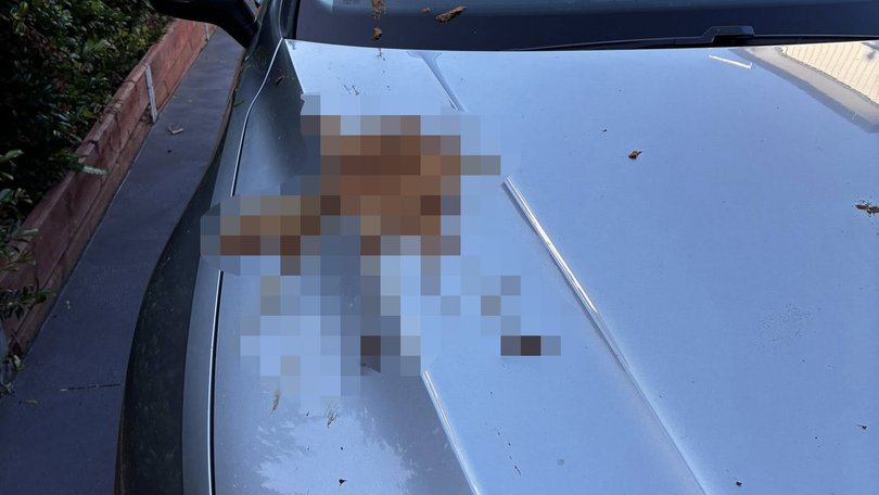 A mum has aired her dismay after she was caught at the centre of a ‘despicable’ human faeces act in broad daylight. 