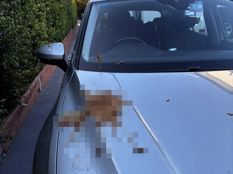 A mum has aired her dismay after she was caught at the centre of a ‘despicable’ human faeces act in broad daylight. 