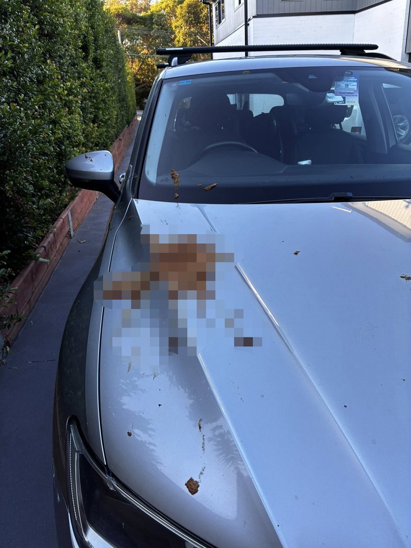 A mum has aired her dismay after she was caught at the centre of a ‘despicable’ human faeces act in broad daylight. 