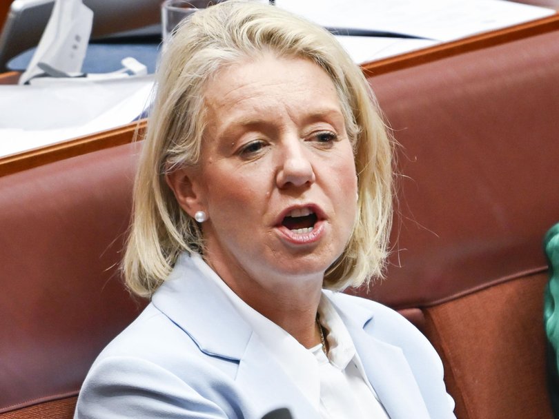 Nationals senator Bridget McKenzie said the scheme’s design was flawed. Picture: NewsWire / Martin Ollman