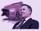 Mark Butler has guaranteed people won’t be dumped from the NDIS without support from the state governments.