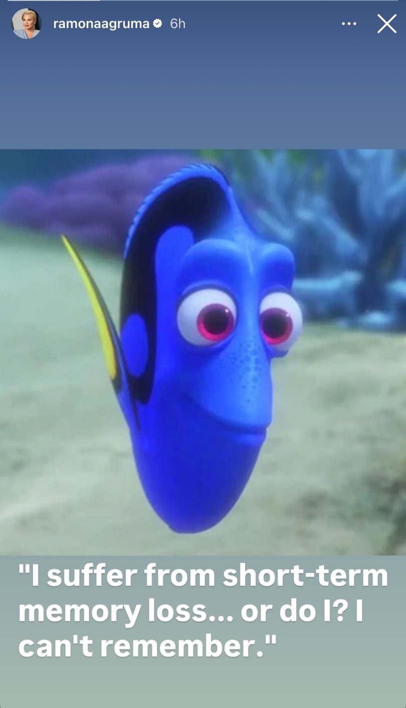 Instagram story by Ramona Agruma the partner of Rebel Wilson on Friday morning.