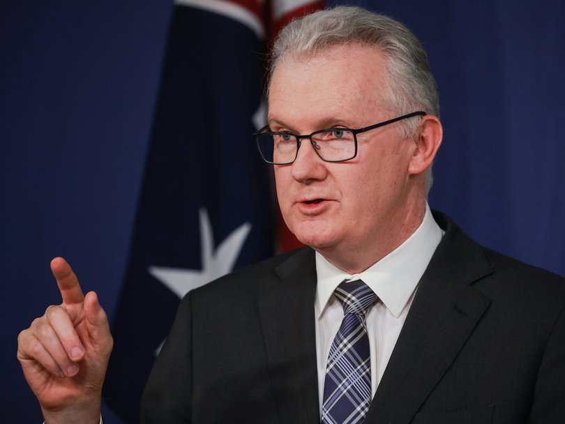 “Their spreading of hate, have a direct impact on increased risk on our national security environment,” Home Affairs Minister Tony Burke said in January.
