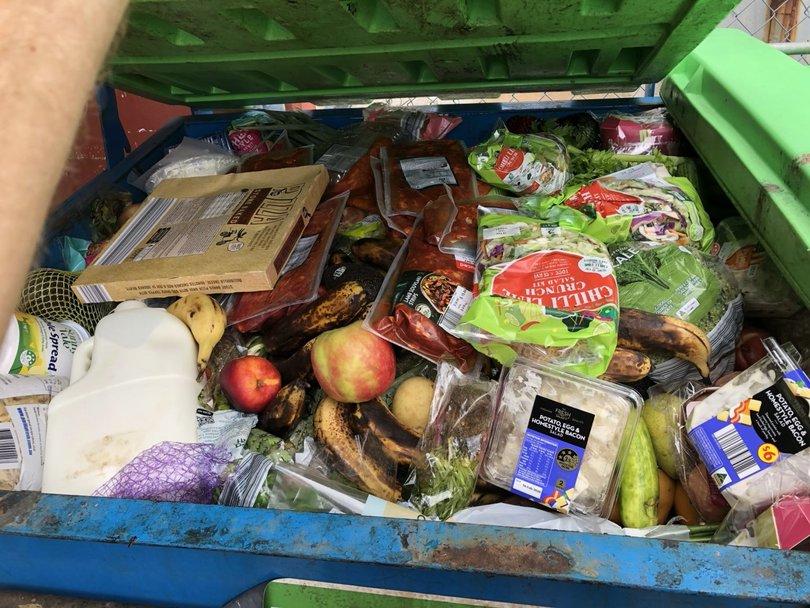 Emelie Watson and her husband Jon only dumpster dive in bins on public premises. 