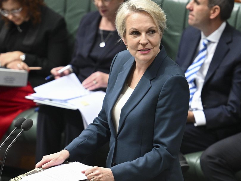 Social Services Minister Tanya Plibersek backed Australia’s security agencies when grilled on the group’s movements overseas. Picture: NewsWire / Martin Ollman