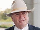 One Nation MP Barnaby Joyce said the hecklers’ comments were inappropriate. NewsWire / David Beach