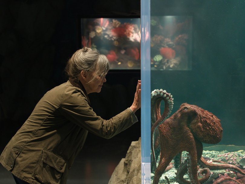 Remarkably Bright Creatures is streaming on Netflix.