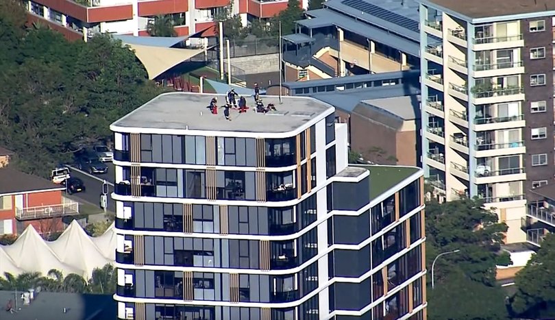 Heartwarming rescue as Jack Russell saved from 13th floor ledge of Dee Why apartment building after two days stranded