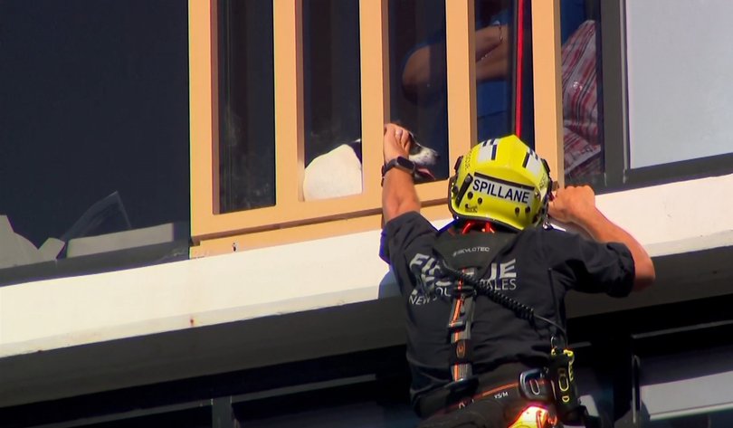 Heartwarming rescue as Jack Russell saved from 13th floor ledge of Dee Why apartment building after two days stranded