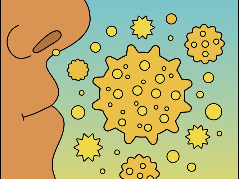 About a quarter of adults in the United States have seasonal allergies, and they can become sensitized over a single exposure to pollen or over several allergy seasons. (Jackson Gibbs/The New York Times) — FOR EDITORIAL USE ONLY WITH NYT STORY SCI SEASONAL ALLERGIES BY SIMAR BAJAJ FOR APRIL 27, 2026. ALL OTHER USE PROHIBITED. —