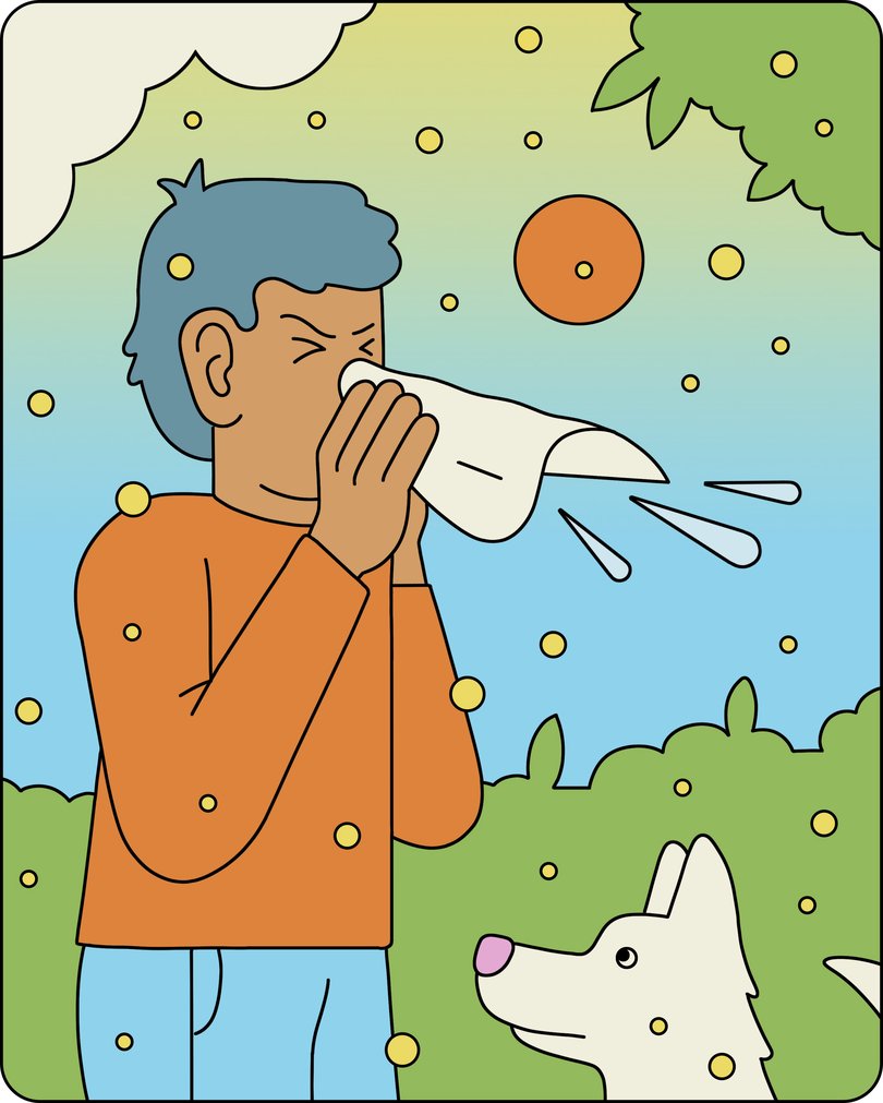 About a quarter of adults in the United States have seasonal allergies.