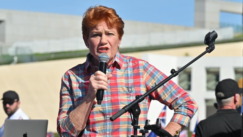 Pauline Hanson will be required to declare the donations. 